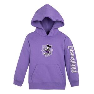 Disney 100th 100 Years Of Wonder Purple Hoodie Sweatshirt Mickey Youth Size 5/6